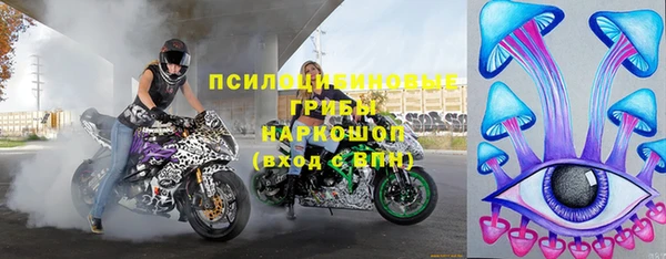 mdpv Домодедово