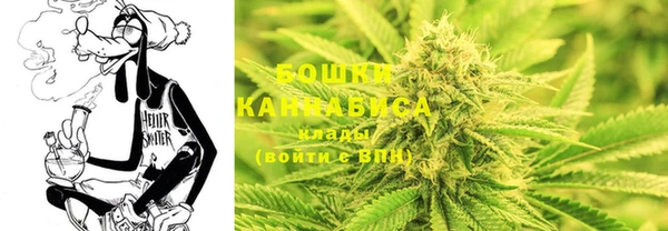 mdpv Домодедово