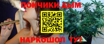 ГАЛЛЮЦИНОГЕННЫЕ ГРИБЫ Беслан