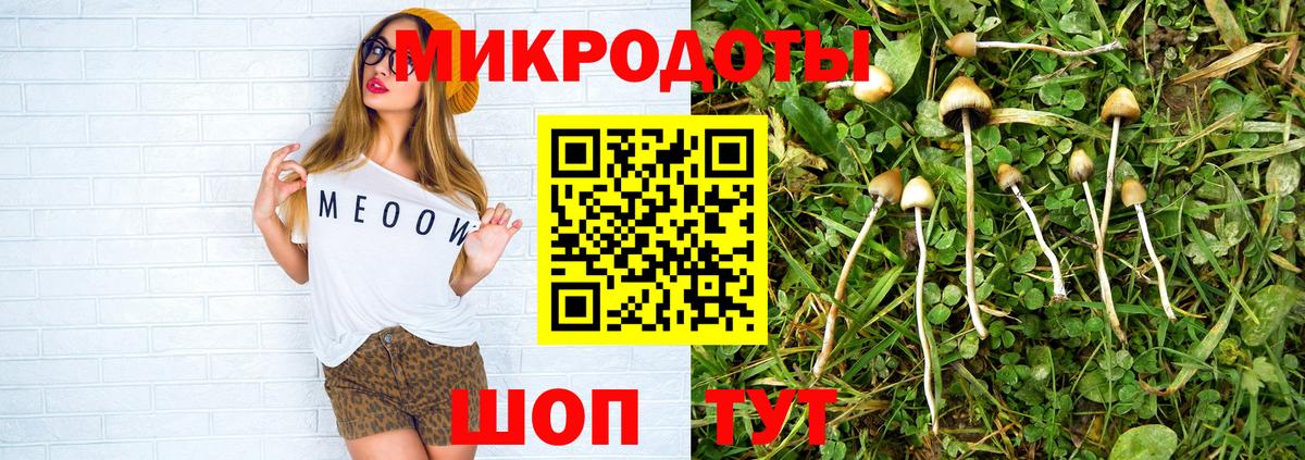 Галлюциногенные грибы MAGIC MUSHROOMS  Вход с VPN  Богданович 