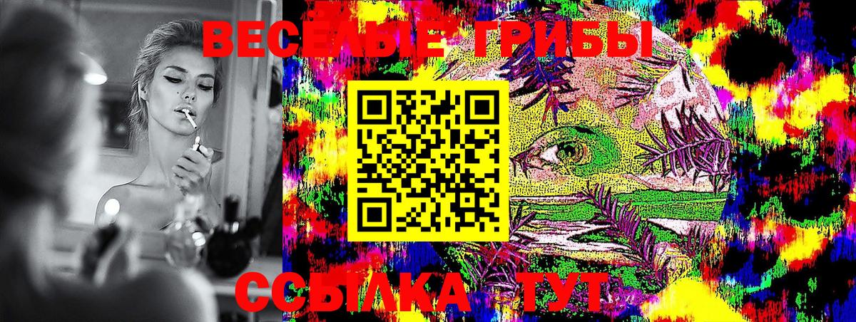 Псилоцибиновые грибы мухоморы Богданович