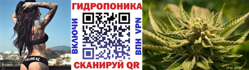 закладка Богданович Шишки марихуана тримм
